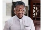 துணை முதல்வர் O.பன்னீர்செல்வம் மருத்துவமனையில் அனுமதி
