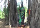 விருதுநகர் அருகே விளைநிலத்தில் அபூர்வ சாமி சிலை
