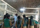 பட்டுப்பூச்சி வளர்ப்பு பிரிவில் வேளாண் கல்லூரி மாணவிகள்