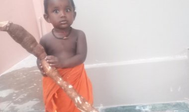 பசுக்காரன்பட்டியில் கப்பைக்கிழங்கு அமோகமாக விளைச்சல்