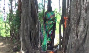 விருதுநகர் அருகே விளைநிலத்தில் அபூர்வ சாமி சிலை