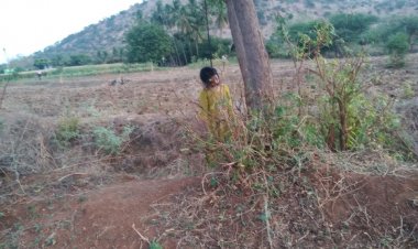 உசிலம்பட்டி அருகே இளம்பெண் தூக்கிட்டு தற்கொலை காரணம் என்ன?