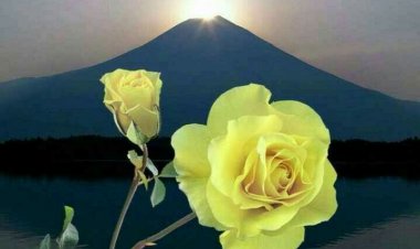 சிங்கத்தேவன் திருமண விழா நேரலையில் தமிழ் ஒளி