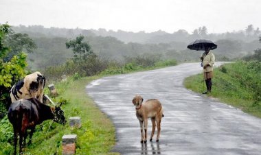 தமிழகத்தில் 5-நாட்களுக்கு மழை