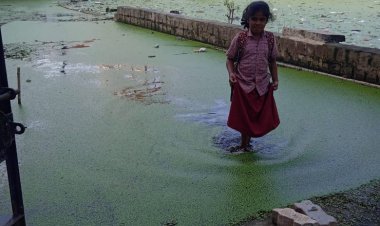 அலட்சியம் காட்டும் அரசு அதிகாரிகள் ஆதரவின்றி தவிக்கும் அன்னம்பாரிபட்டி மக்கள்