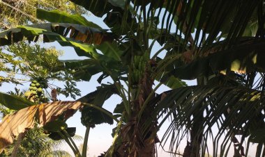 பெரியகுளம் அரு பள்ளி ஆண்டு விழா குழந்தைகள் உற்சாகம்