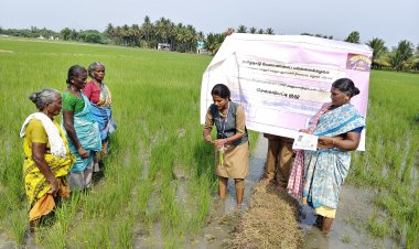 அறிவியல் தகவலுடன் விவசாயிகளுக்கு விளக்கிகூறிய வேளாண் மாணவி கோபிகா