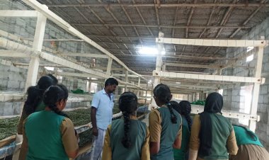 பட்டுப்பூச்சி வளர்ப்பு பிரிவில் வேளாண் கல்லூரி மாணவிகள்