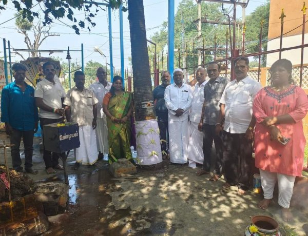 தமிழர் வரலாற்றில் முதன் முறையாக பனை பொங்கல்